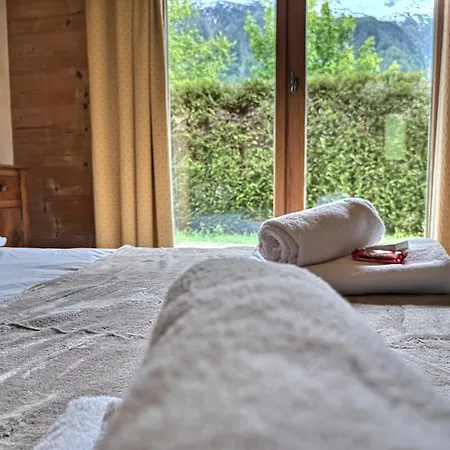 Spacieux A Pour 9 - Vue Panoramique Mont-blanc, Jacuzzi, Jardin & Parking Σαμονί