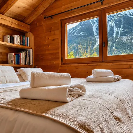 Spacieux A Pour 9 - Vue Panoramique Mont-blanc, Jacuzzi, Jardin & Parking 샬레 샤모니